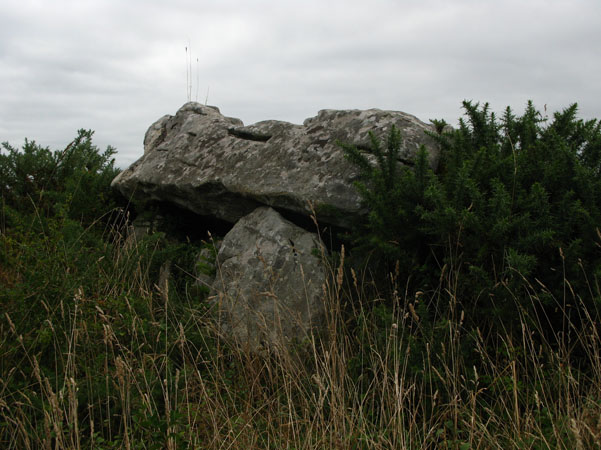 Dolmen de Kergazec/Tennad Er Menguen